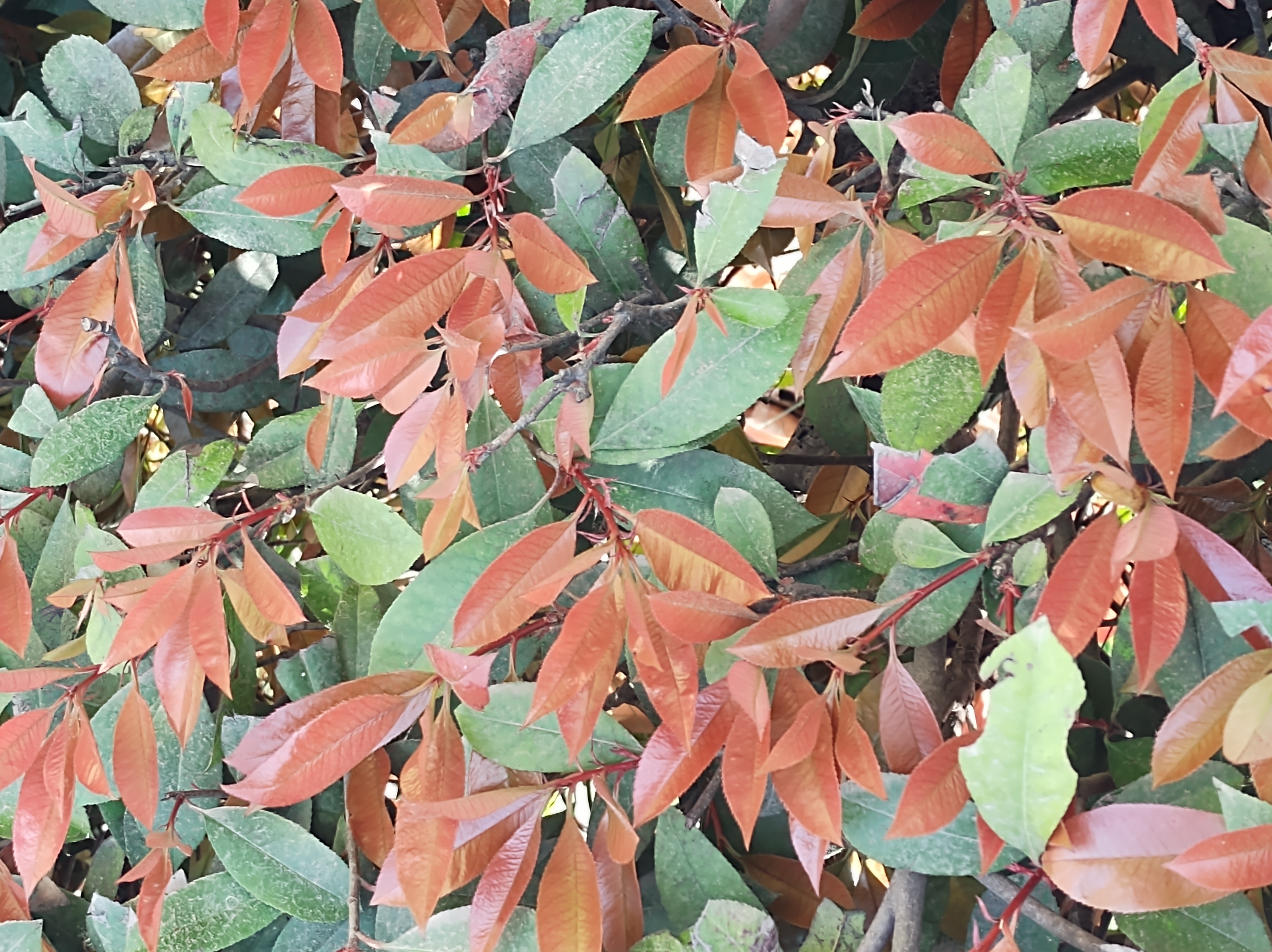 No s'ha trobat l'arxiu